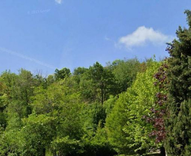 terreno boschivo a Longone al Segrino