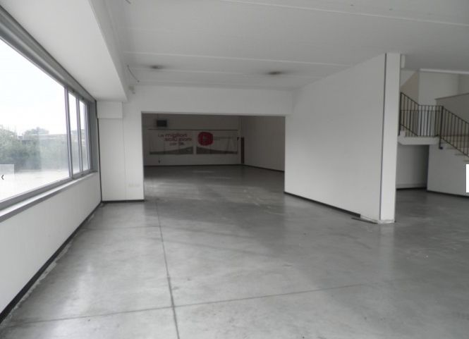 Capannone Commerciale PISA affitto  Ospedaletto  Immobiliare San Silvestro