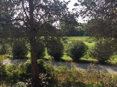 Appartamento in vendita a Campo, San Giuliano Terme (PI)