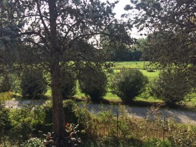 Appartamento in vendita a Campo, San Giuliano Terme (PI)