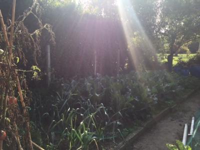 Appartamento in vendita a Campo, San Giuliano Terme (PI)