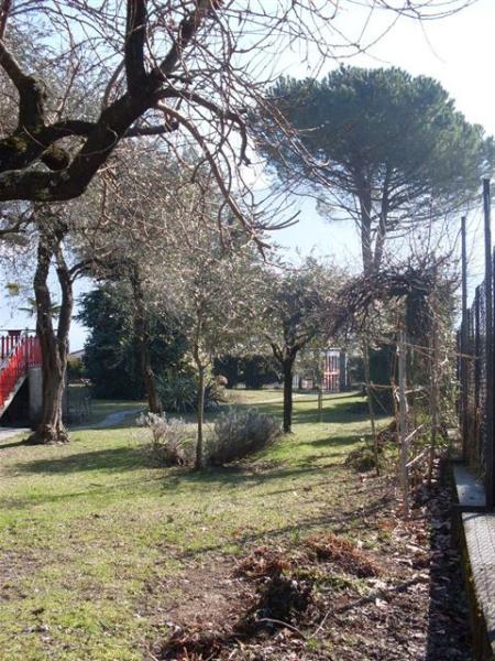 Villa TREMEZZINA affitto    Falconicasa