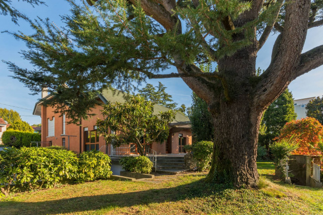 CASA SINGOLA