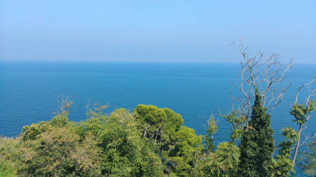 Appartamento