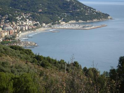APPARTAMENTO in affitto a Andora