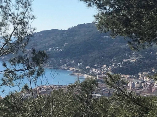 TERRENO EDIFICABILE in vendita a Andora