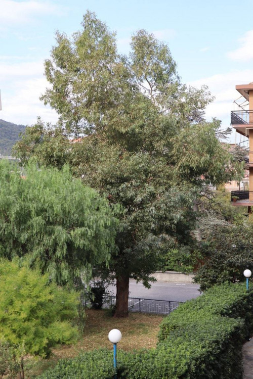TRILOCALE in vendita a Andora