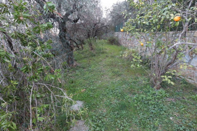 VILLA in vendita a Andora