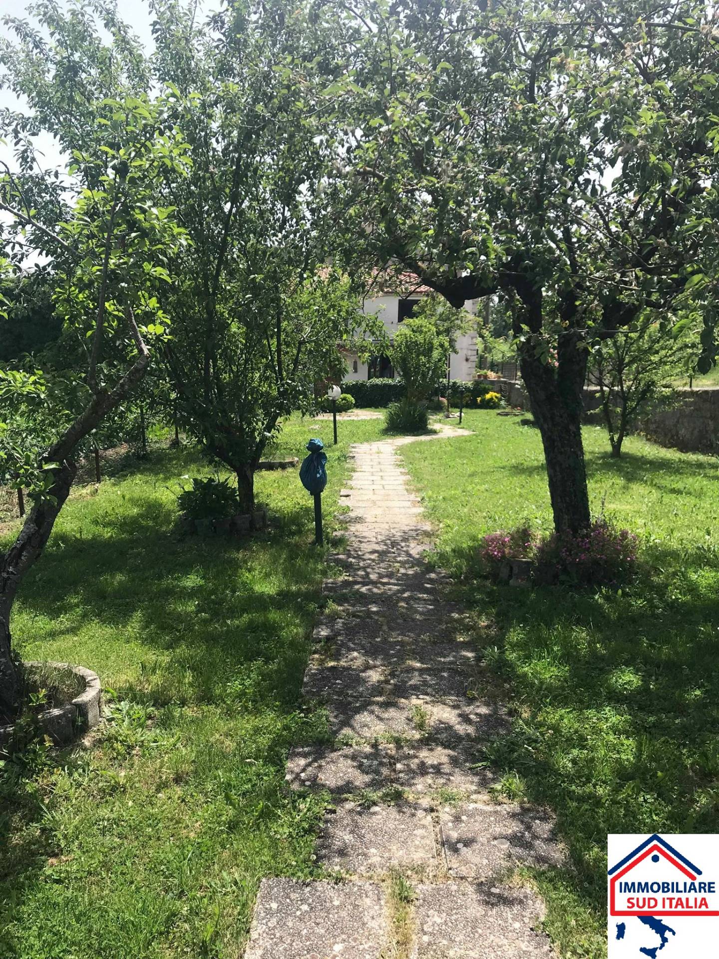 Rustico - Cascina SEPINO vendita    Immobiliare Sud Italia