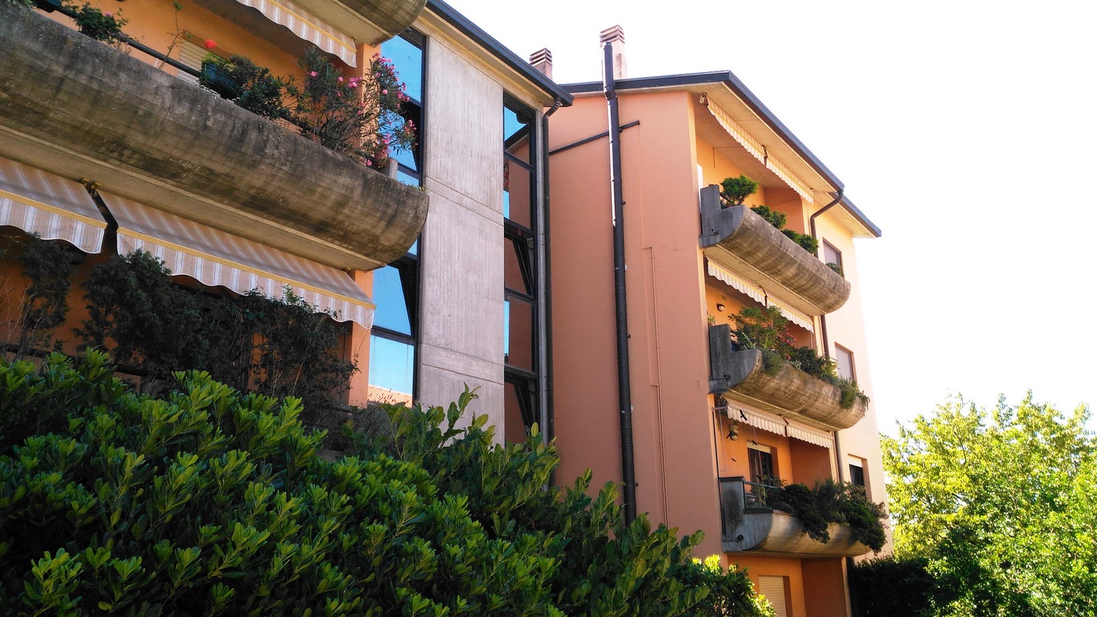 Appartamento VARESE vendita    Studio Bignardi-Pre Immobiliare