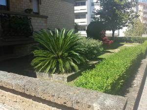 Appartamento per studenti in affitto a Chieti