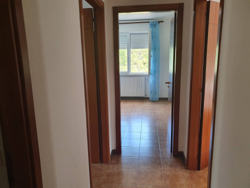 Camera in affitto a Chieti