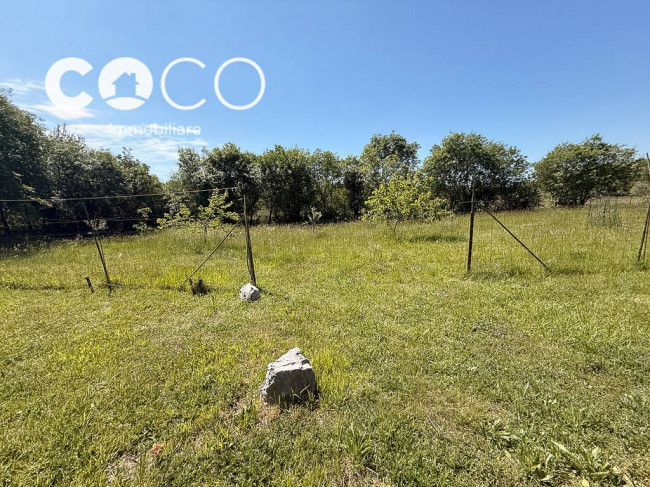 Terreno Agricolo in vendita a Sagrado