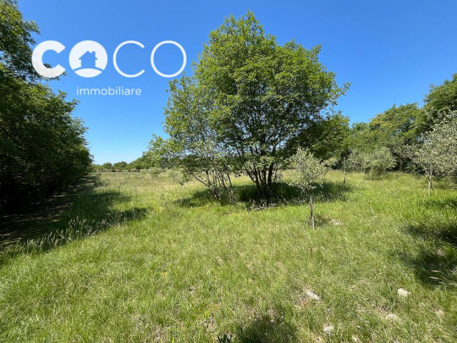 Terreno Agricolo in vendita a Sagrado