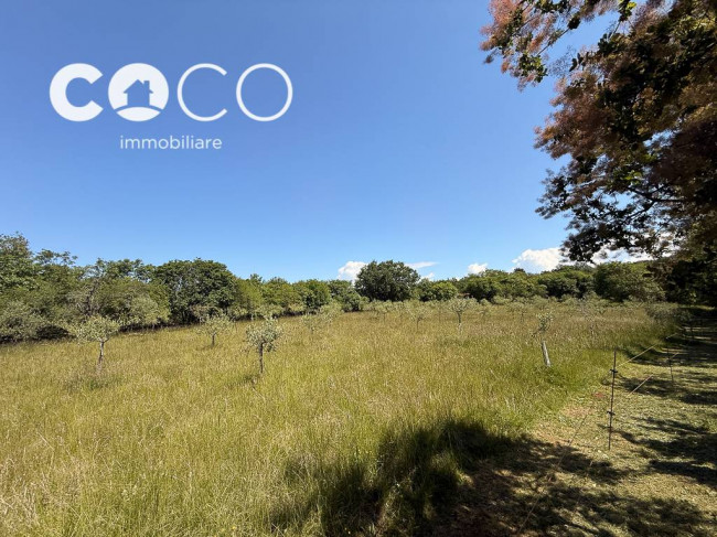 Terreno Agricolo in vendita a Sagrado