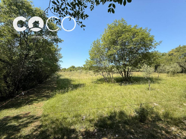 Terreno Agricolo in vendita a Sagrado