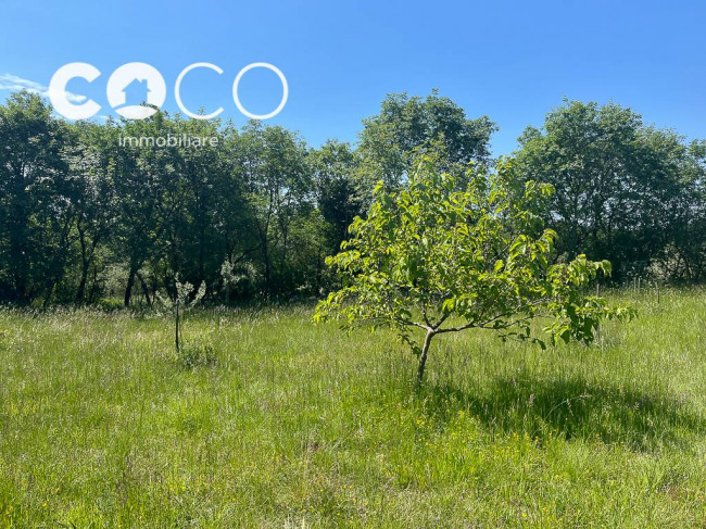 Terreno Agricolo in vendita a Sagrado
