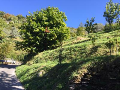Building area for Sale to Avegno