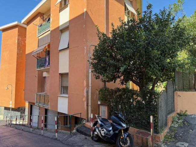 Appartamento in Affitto