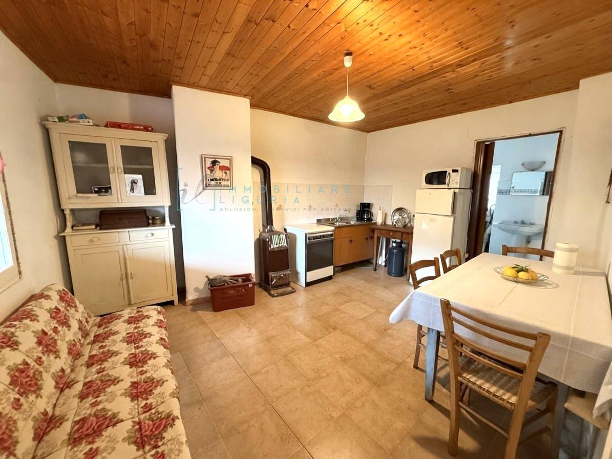 Rustico/Casale in vendita a Armo - foto 6
