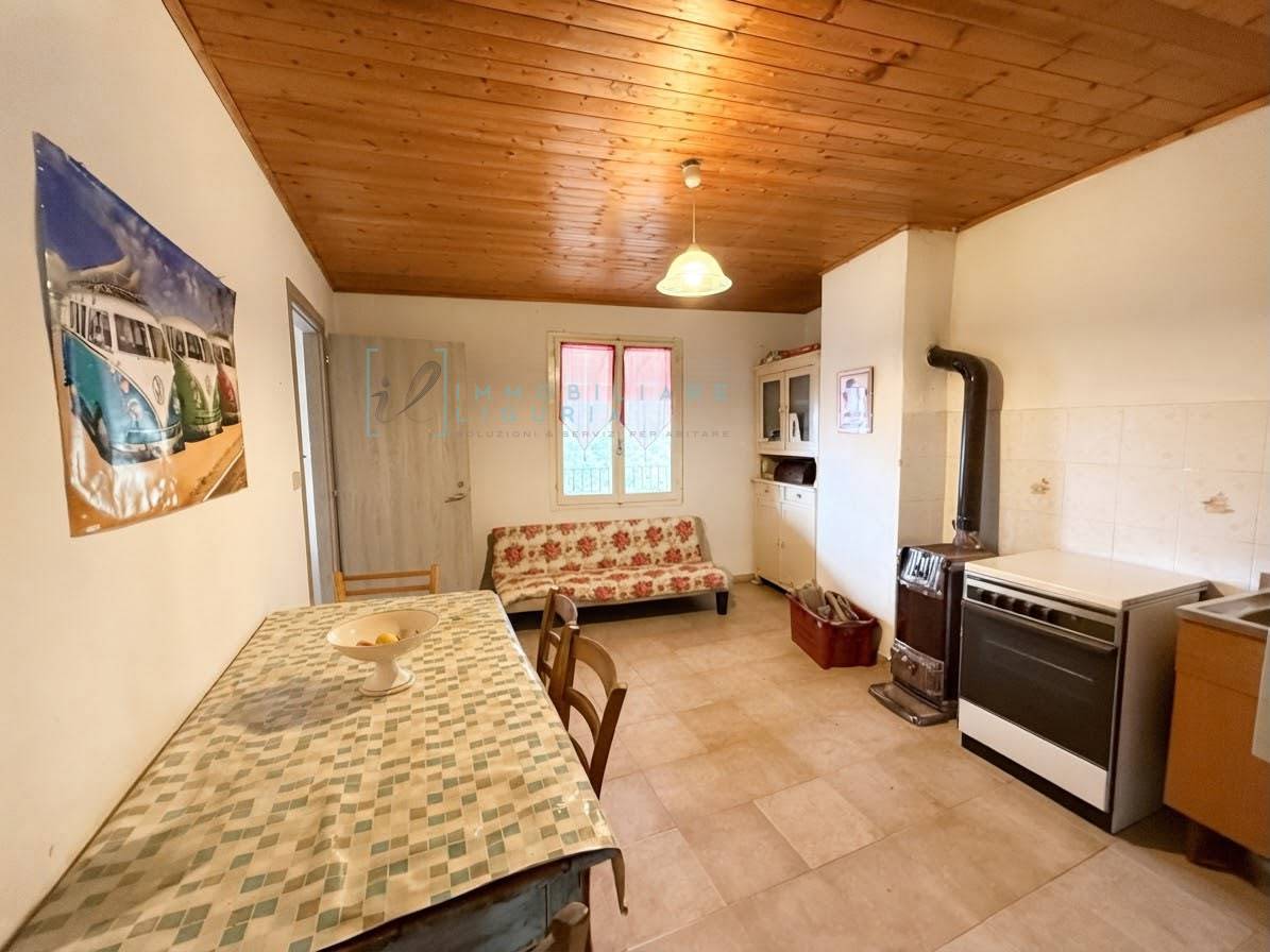Rustico/Casale in vendita a Armo - foto 7