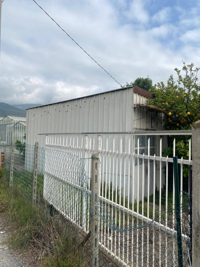 Terreno Agricolo in Vendita a Albenga