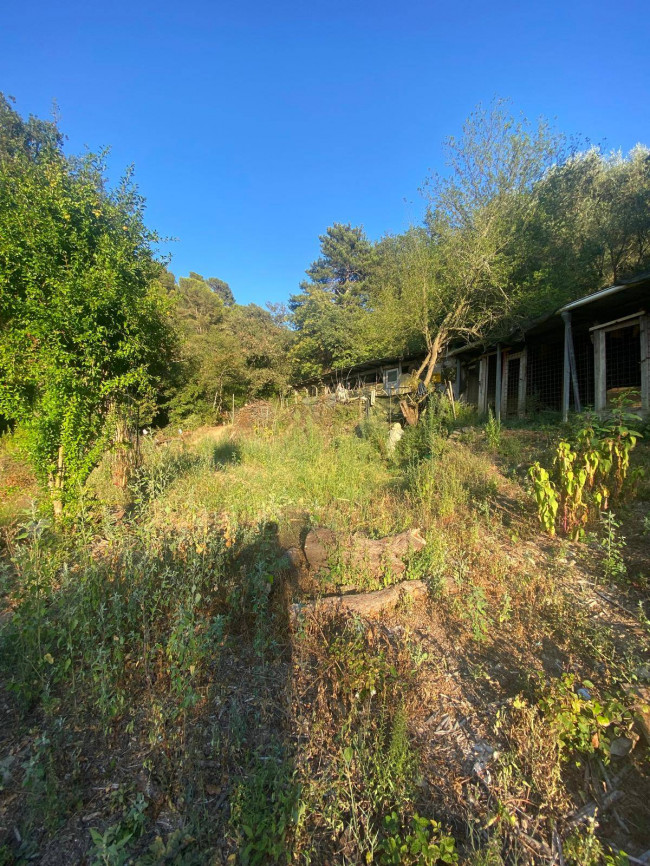 Terreno Agricolo in Vendita a Albenga