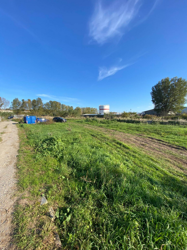 Terreno Agricolo in Vendita a Albenga