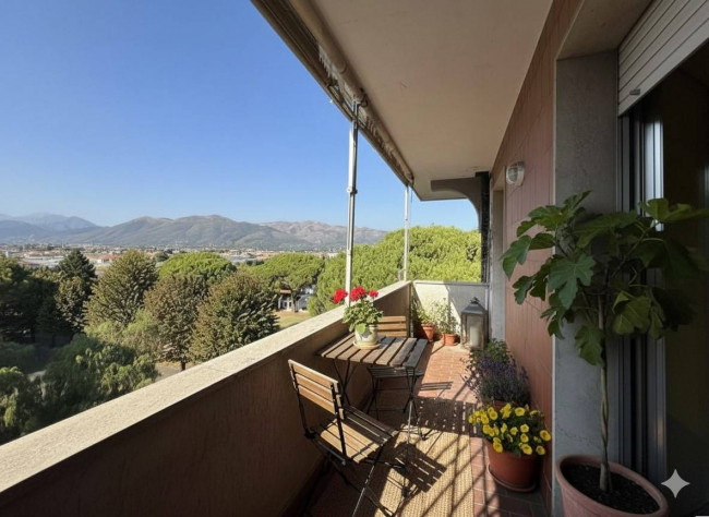  zu verkauf in Albenga