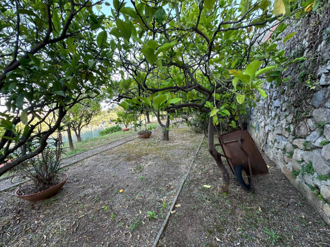 Villa Bifamiliare in vendita a Boissano