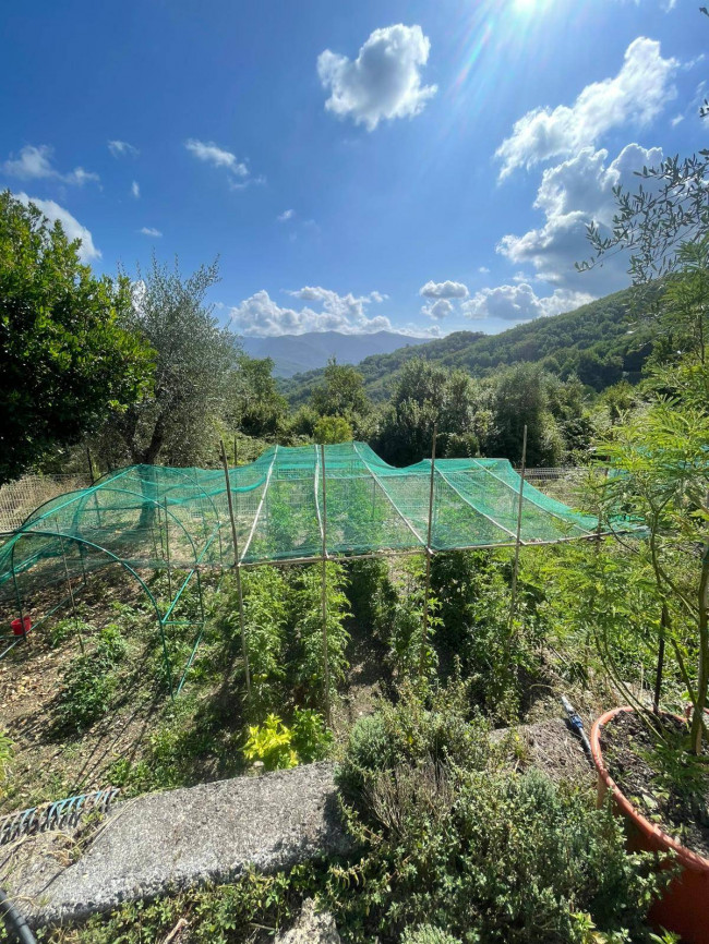 Casa singola in vendita a Borgomaro