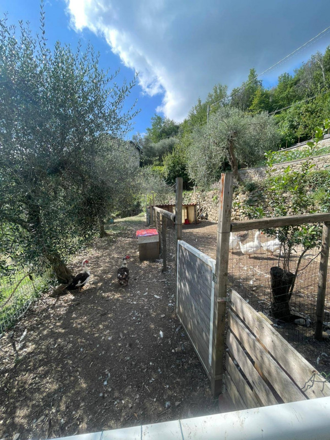 Casa singola in vendita a Borgomaro