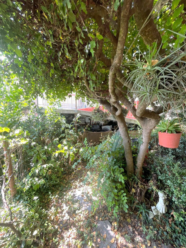 Appartamento in vendita a Borghetto d'Arroscia
