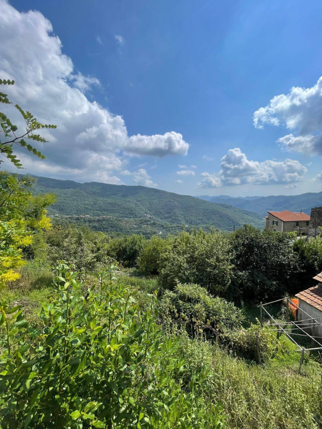 Appartamento in vendita a Borghetto d'Arroscia