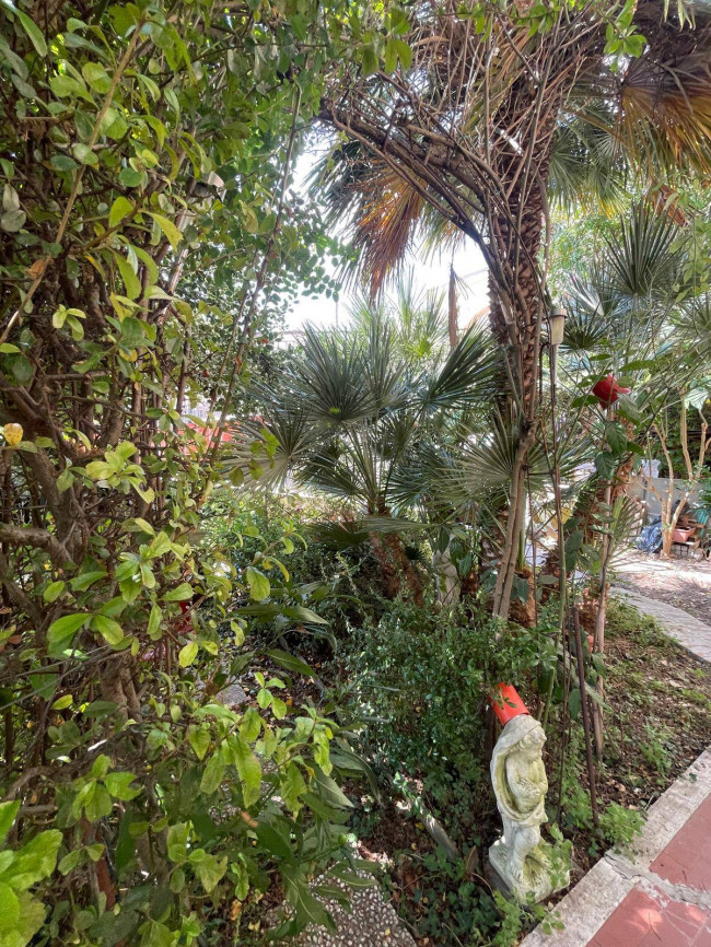 Appartamento in vendita a Borghetto d'Arroscia