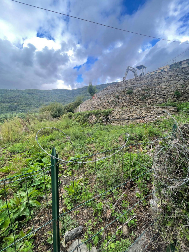  à vente à Borghetto d'Arroscia