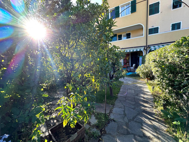  à vente à Albenga