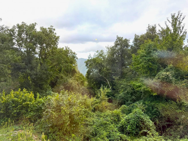 Appartamento in vendita a Aurigo