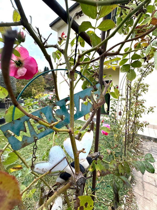 Villa a schiera di testa in vendita a Ortovero