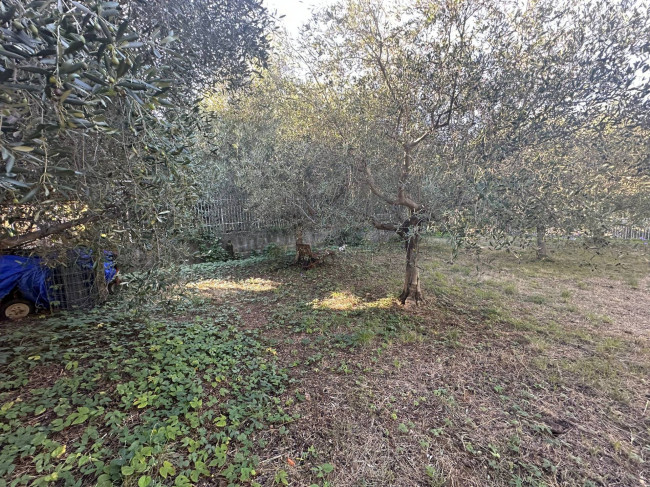 Terreno Agricolo in vendita a Cisano sul Neva