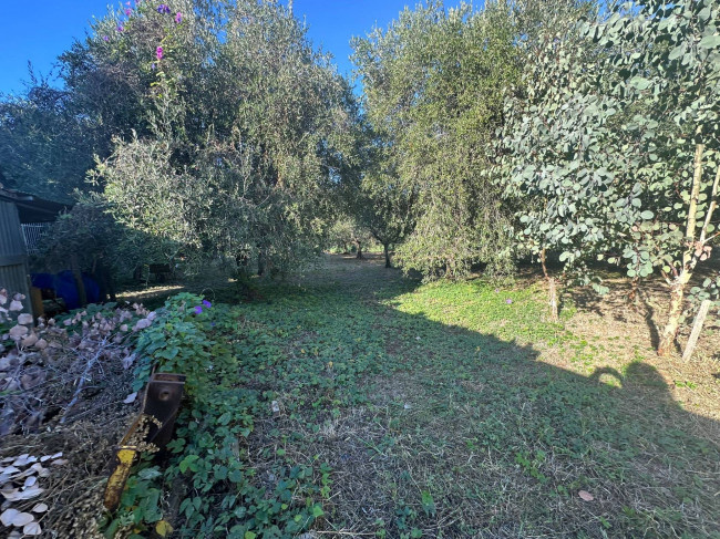 Terreno Agricolo in vendita a Cisano sul Neva