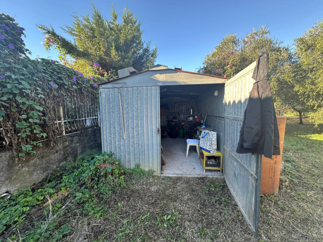 Terreno Agricolo in vendita a Cisano sul Neva