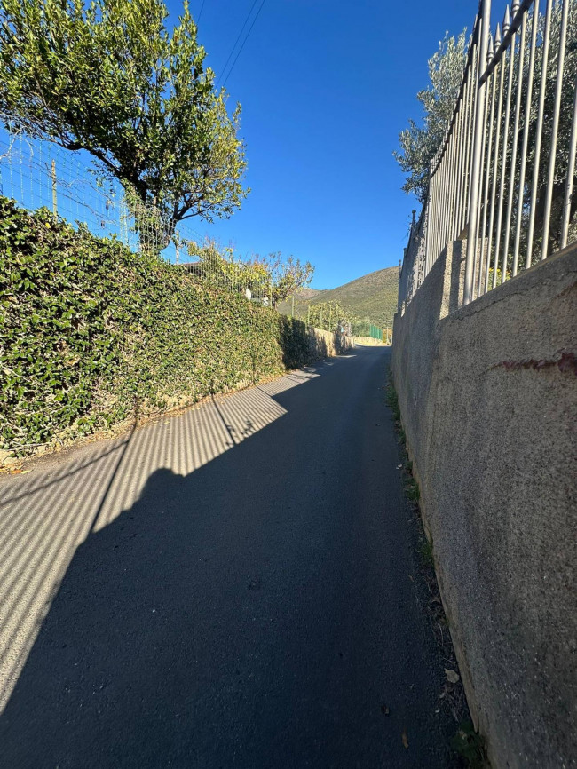 Terreno Agricolo in vendita a Cisano sul Neva