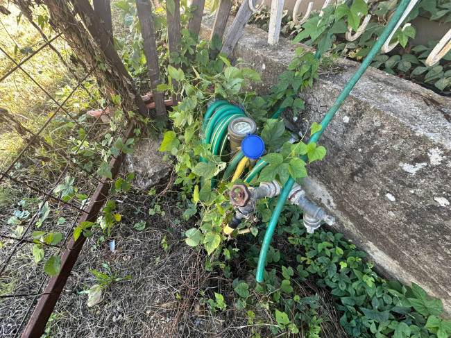 Terreno Agricolo in vendita a Cisano sul Neva
