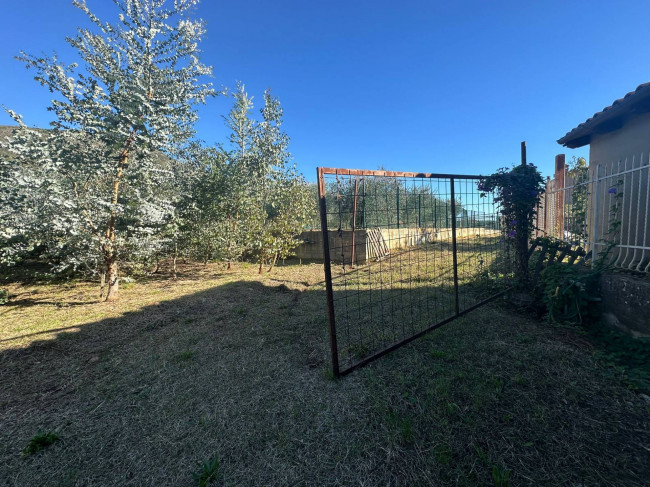 Terreno Agricolo in vendita a Cisano sul Neva