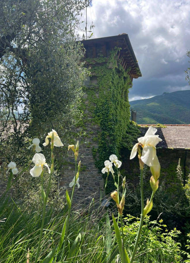 Villa in vendita a Pieve di Teco