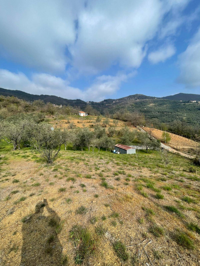 Terreno Agricolo in vendita a Caravonica
