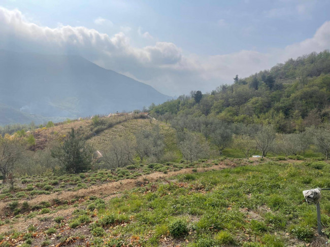 Terreno Agricolo in vendita a Caravonica
