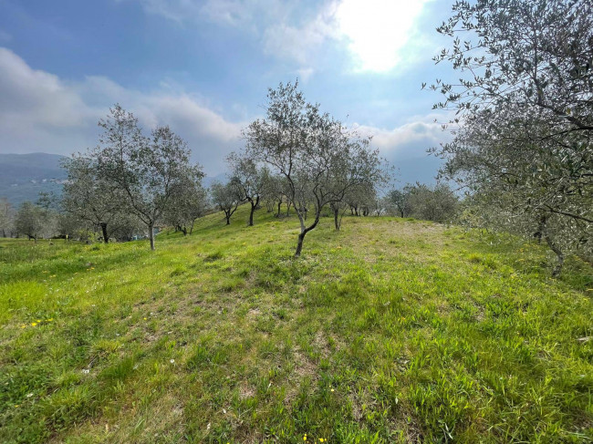 Terreno Agricolo in vendita a Caravonica