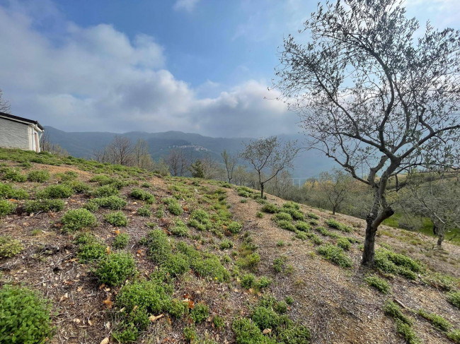 Terreno Agricolo in vendita a Caravonica